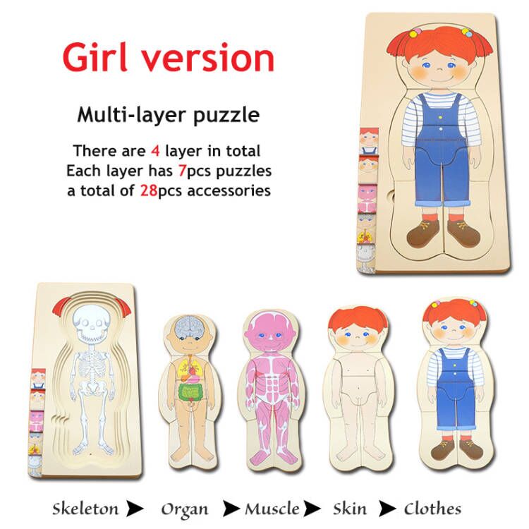 Human Anatomy 48 Piece Puzzle Set Unique Educational Gift for Kids 5+ –  eeBoo
