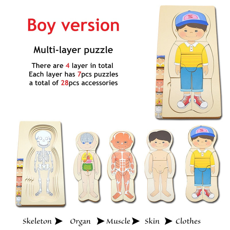 Wooden Human Body Puzzle Anatomy Play Skeleton Toy 5 Layers Body Structure Montessori Puzzles Preschool Learning